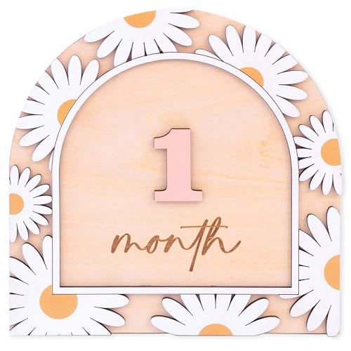 Image of Wooden 3D Baby Monthly Milestone Cards Monthly Milestone Discs Newborn Photography Props Baby Announcement Sign Baby (BBL3)