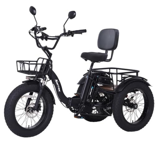 NARRAK Folding Electric Trike