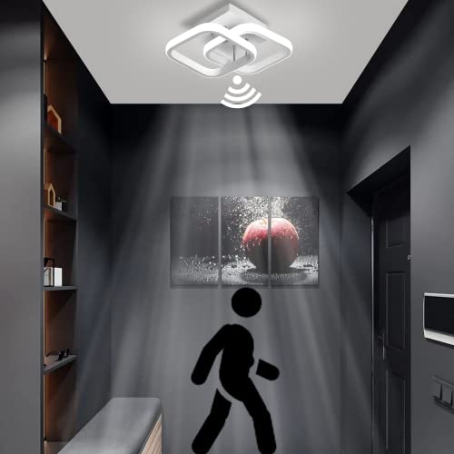 Seguridad, Imagen adicional