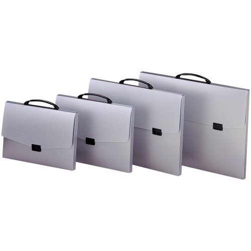 Lihit Lab F1622 Nasca Flex Carrying Case, A3, Silver