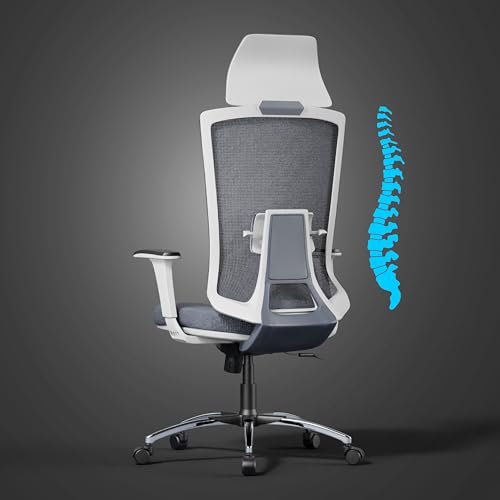 CRATVZ FEDO High Back Office Chair with Adjustable Lumbar Support & Head Rest, Ergonomic Desk Chair for Home & Office Use, Comfortable, Breathable...