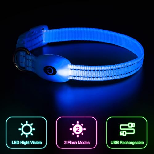 YFbrite Leuchtende Hundehalsbänder, USB-aufladbares LED-Hundehalsband, verstellbares LED-Katzenhalsband für Katzen, Welpen, kleine, mittelgroße und große Hunde (Blau, XS)