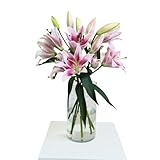 FLORES SOLIDARIAS - Ramos de Flores Naturales Lilium Rosa - Ramo Fresco de Calidad para Regalo, San Valentín, Día de la Madre, Bodas, Aniversarios, Cumpleaños y Decoración del Hogar