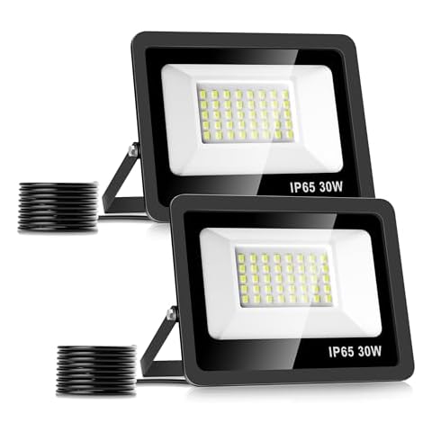 Projecteur LED Realky 30W Paquet de 2 Cover