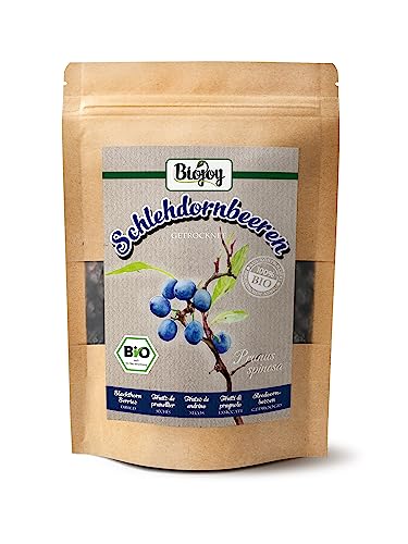 Biojoy Frutos de endrino BÍO (100 g), secos y enteros, apto para té e infusión (Prunus spinosa)