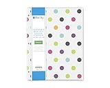Blue Sky 2018-2019 Academic Year Teachers Monthly Lesson Planner, Stapled, Flexible Cover 8.5