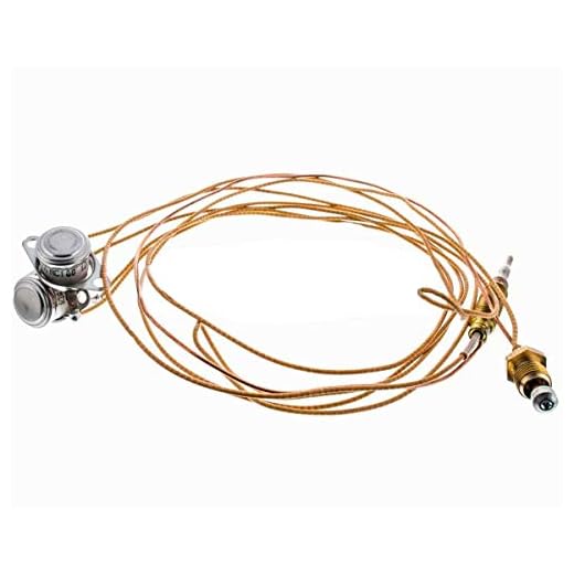 Recamania Termopar Calentador Cointra 2 TERMOSTATOS 6058