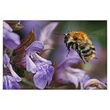 artboxONE: Der Shop fr angesagte Wandbilder und moderne Designs von internationalen Knstlern fr dein Zuhause | Mehr als 40.000 Motive zu verschiedenen Themen: Typografie, Fotografie, Illustrationen & mehr!