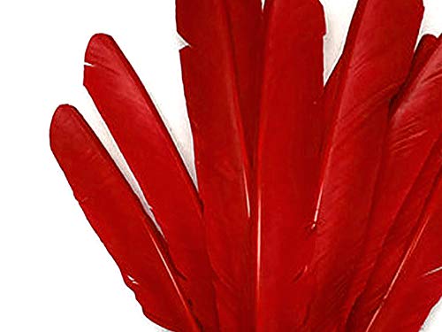6 Pieces - Red Turkey Pointers Primary Wing Quill Large Feathers Fletching Diy Halloween | Moonlight Feather #TOP4