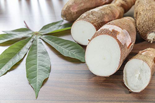 Organic Cassava Flour, 4 Pounds — Non-GMO, Raw Yuca Root Powder, 100% Pure, Kosher, Vegan Superfood, Paleo, Bulk, Wheat Flour Substitute