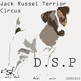jack russell terrier kaufen preis  Jack Russel Terrier (Original Mix)
