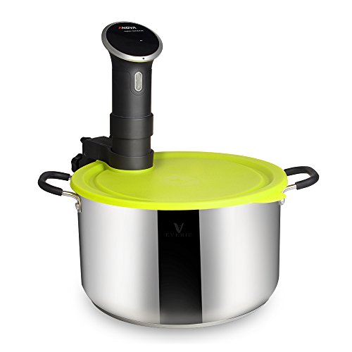 EVERIE Silicone Lid for Anova and Stainless Steel Stockpot 11.8''/30cm Diameter Wide Or