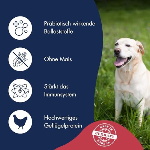 DR.CLAUDER’S - Best Choice Adult Medium | Trockenfutter für kleine und mittelgroße, ausgewachsene Hunde zur Unterstützung der Verdauung. Weizenfreies Alleinfutter im Beutel | 12,5kg Geflügel