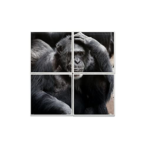 Carreaux céramique singe 30x30 cm décor mural nature sauvage