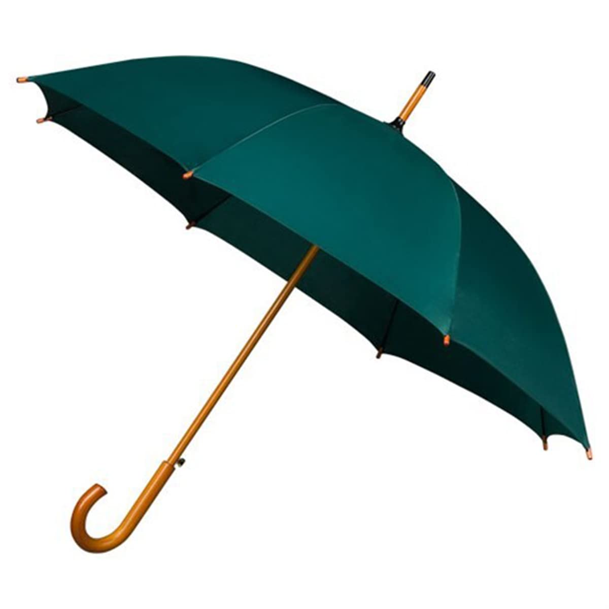Falconetti Women's Long Umbrella - Automatic Opening - Wooden Handle and Handle - Fir Green