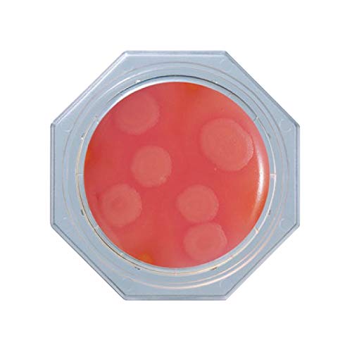 日水製薬 フードスタンプ 「ニッスイ」 セレウス寒天 (セレウス菌用) 30枚