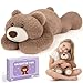 Joyreal 1.5 kg Gewichteter Teddyb&auml;r gegen Angst, Angstbew&auml;ltigung f&uuml;r Erwachsene, Gewichteter Pl&uuml;schb&auml;r, Sensorische Spielzeuge f&uuml;r Autismus, Gewichtete Stofftiere 1,5 kg Weighted Stuffed Animal Toy