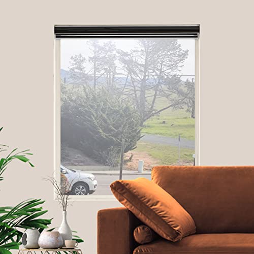 Jiangpin Textile Zebra Roller Shades, Window Shades For Bedroom, Kitchen Blinds Sheer Shades Window Treaments Privacy Light Control For Day And Night, (Maximum Height 72Inch, Black Color, 21'' W) #TOP2