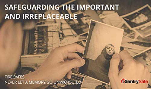 SentrySafe HD4100CG Fire-Safe Waterproof File Black