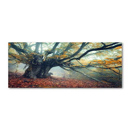 Crédence de cuisine en verre trempé 125x50 cm motif vieux arbre marron Tulup