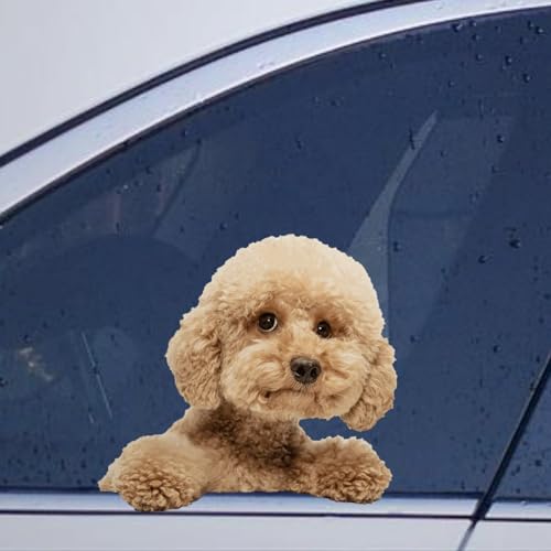 Image of Poodle Car Window Stickers Poodle Car Decal Funyy Animal Pet Window Decal Dog Vinyl Decal for Car Truck Bumper Window Laptop Gift to Dog Lover