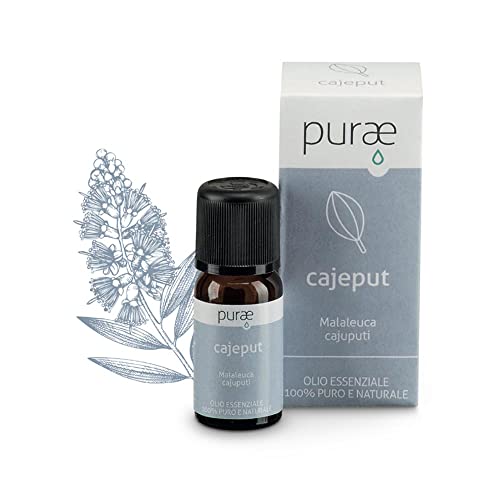 Huile essentielle Cajeput Melaleuca Cajuputi nez bouché et fatigue 10ml