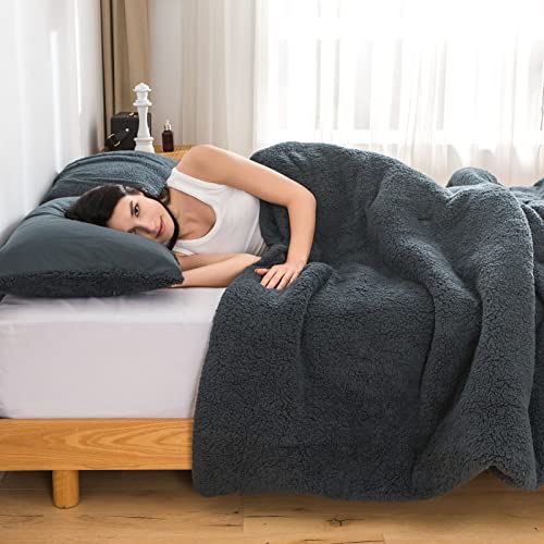 Cottebed BZ002 Warmth Queen Comforter Set - Super Soft Fluffy Sherpa Fleece Polycotton Down Alternative Bedding Blanket Comforter Pillowsham thumb #1