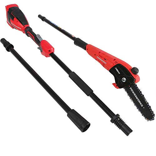 Powerworks PSP301 XB 40V 8-Inch Cordless Polesaw, 2Ah Battery and Charger Included, 8 inch