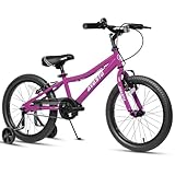 AVASTA 18 Zoll Kinderfahrrad für 5, 6, 7 und 8 Jahre alte Kinder, Jungen und Mädchen, mit Zwei Handbremsen, Ständer und verstellbarem Sitz, rosa