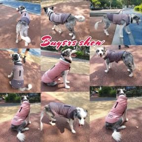 Idepet Winddichter Hundemantel Winter Warme Jacke,Anti-Schneeanzug Hundebekleidung für kleine mittelgroße Hunde mit Geschirrloch Blau Rosa Grau