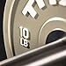 Titan Fitness 10 LB Grey Elite Olympic Bumper Plates, Competition Weight Plates, Rubber with Steel Hub Insert, Sold as a Pair, for Olympic Weightlifting and Cross-Training Workouts