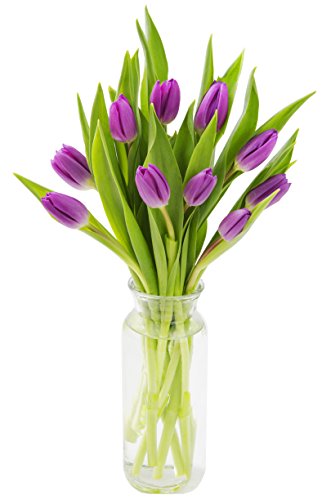 kabloom prime next day delivery - fall collection - bouquet of fresh purple tulips with vase gift for birthday anniversary get well easter valentine mothers day fresh flowers