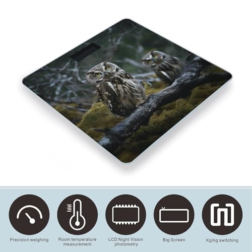 Báscula digital de baño con vidrio templado Wild Owl Birds miniatura 3