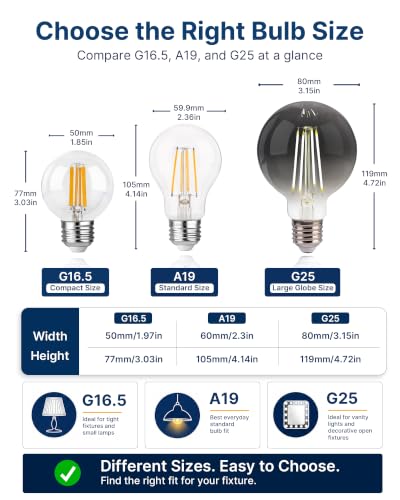 Image of FLSNT 6 Pack G25 LED Globe Edison Bulbs, 5000K Daylight Decorative Light Bulbs, CRI90+ Dimmable, 40W Equivalent, 300LM, E26 Base, Smoky Grey Glass, UL Listed