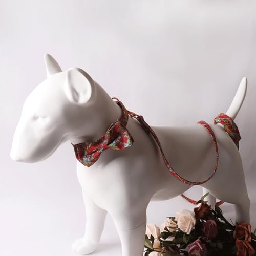 Collier pour chien avec laisse et nœud fleur chic