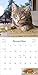 Cats on Catnip Wall Calendar 2026: A Year of Cats Living the High Life