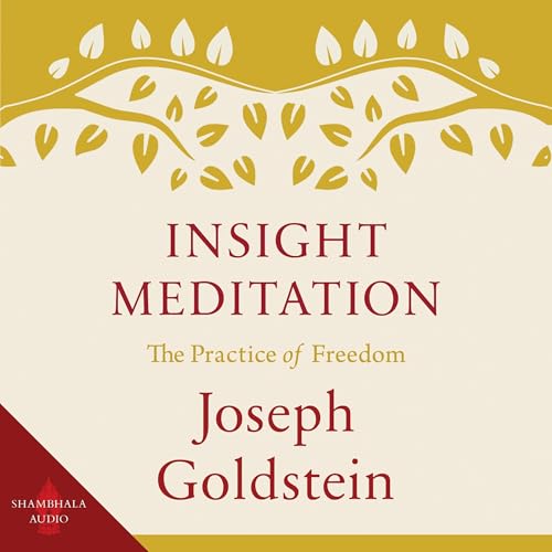 Insight Meditation by Joseph Goldstein episode artwork