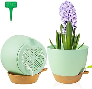 STURME 23CM Plant Pots Indoor 2 Pack, Self Watering Plant Pots with Drainage Holes,Saucers and Reservoir,Suitable for Flowers, Plants Indoor Modern Fashion Decorative White Plastic Plant Pots.