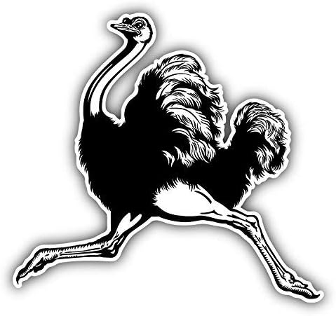 DG Graphics - Adhesivo de vinilo para ventana de pared, diseño de avestruz, 5.0 x 5.0 in