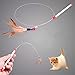 Blnboimrun Pet Teaser Cat Toy Steel Wire Feather Interactive Cat Stick Training，Kitten Wand Toys with Beads Bells (2 Pack)