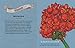 Green Witch's Guide to Magical Plants & Flowers: 26 Love Spells from Apples to Zinnias