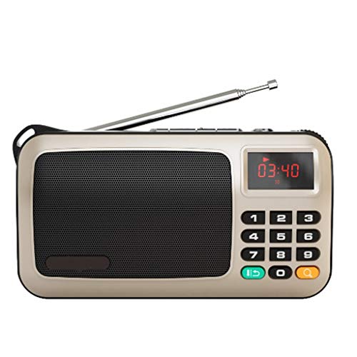 BJYX Portátil Mni con Radio FM, Reproductor De Música Mp3, Tarjeta TF,...
