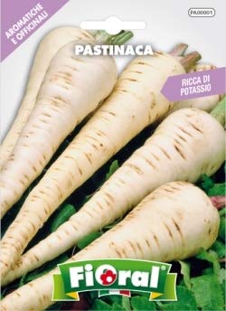 Sementi di piante aromatiche e officinali in bustina ad uso amatoriale (PASTINACA)