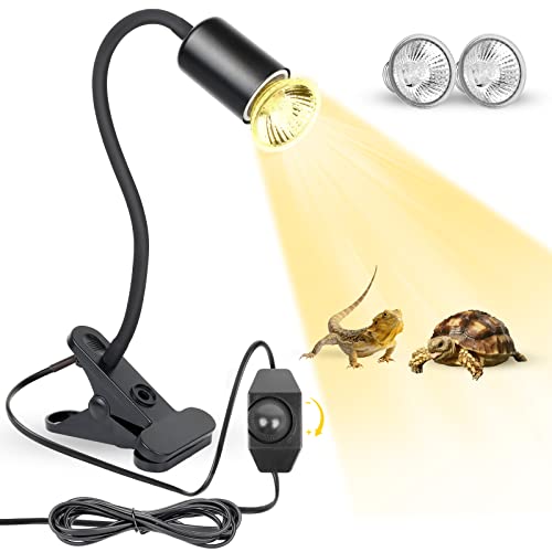Find The Best Light For Hermit Crabs Reviews & Comparison Katynel