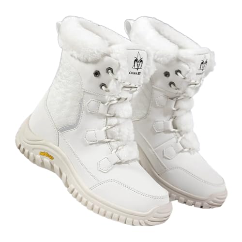 fB[X EB^[Xm[u[c g~hAEghAu[c ܂ŗht@[nU[EH[LOV[Y,,26 cm