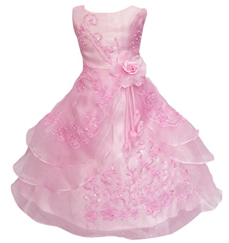 Little Girls Embroidered Beaded Flower Girl Birthday Party Dress with Petticoat Pink 7t-8t