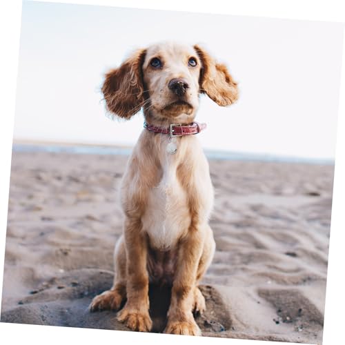 iplusmile 6 Stück Zubehör für Haustierglocken Welpe Glocke Hundekragen Charme kleine Hundeglocken Haustier kleine Glocken Haustierklingel selber machen Metall Silver