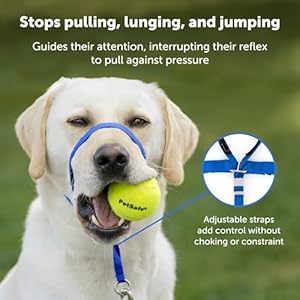 PetSafe Gentle Leader No-Pull Dog Headcollar – The Ultimate Solution to Pulling – Redirects Your Dog’s Pulling For Easier Walks – Helps You Regain Control – Medium , Deep Purple