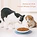 Ceramic Cat Bowl Set of Three: Puppy Feeding Dish and Water Bowl Accompanied by Mats