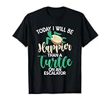 Turtle Accessories & Apparel Gift Turtle Owner